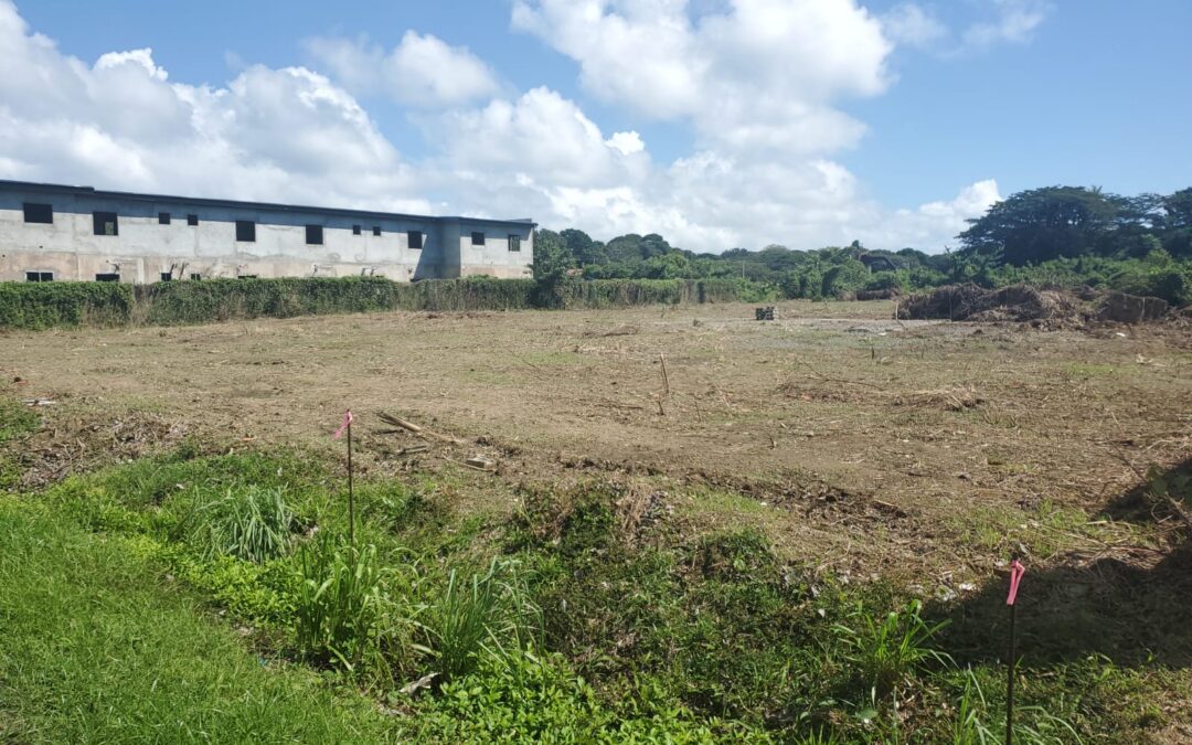 Prime Land in Canaan